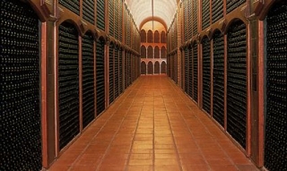 Nuestra nave de crianza